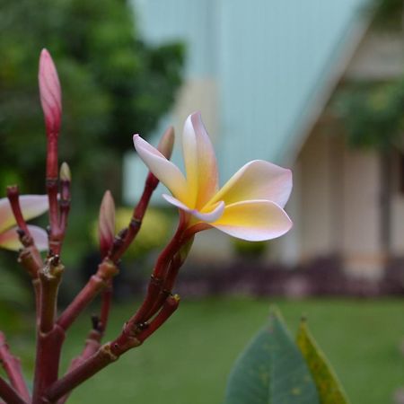 Touch Star Resort - Doi Inthanon Чом Тонг Екстериор снимка