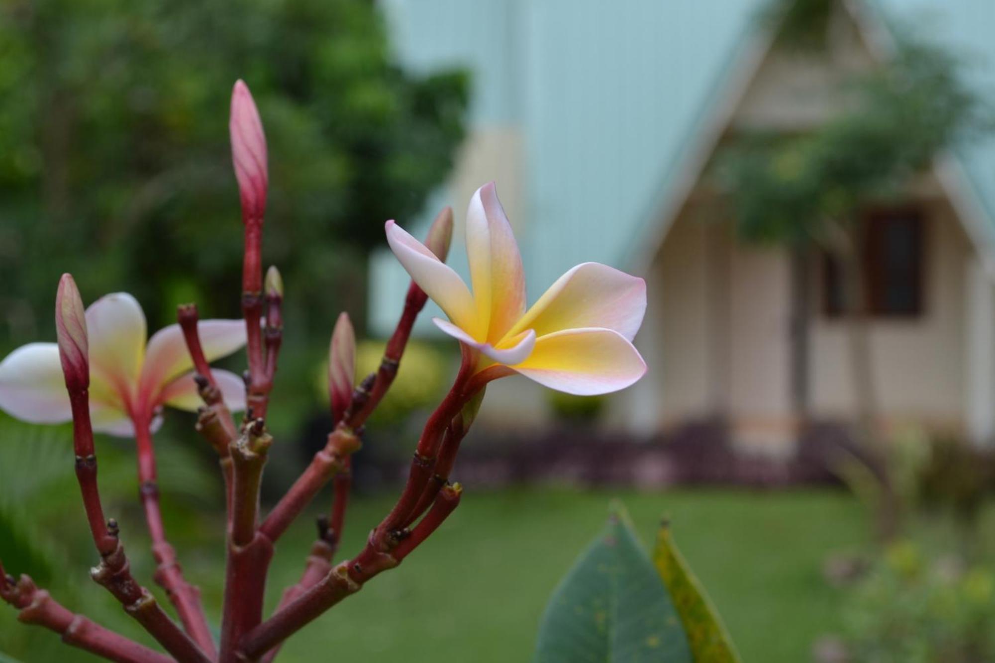 Touch Star Resort - Doi Inthanon Чом Тонг Екстериор снимка